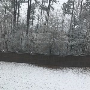 Meet your Posher, Evelyn